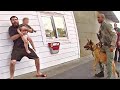 30 craziest police dog moments caught on camera