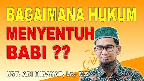 Bagaimana Hukum Menyentuh Babi? || Ustadz Adi Hidayat, Lc., MA