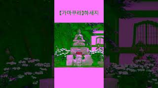 가마쿠라의 하세데라: “사계절의 아름다움을 즐긴다” #하세지#가마쿠라 관광#수국사