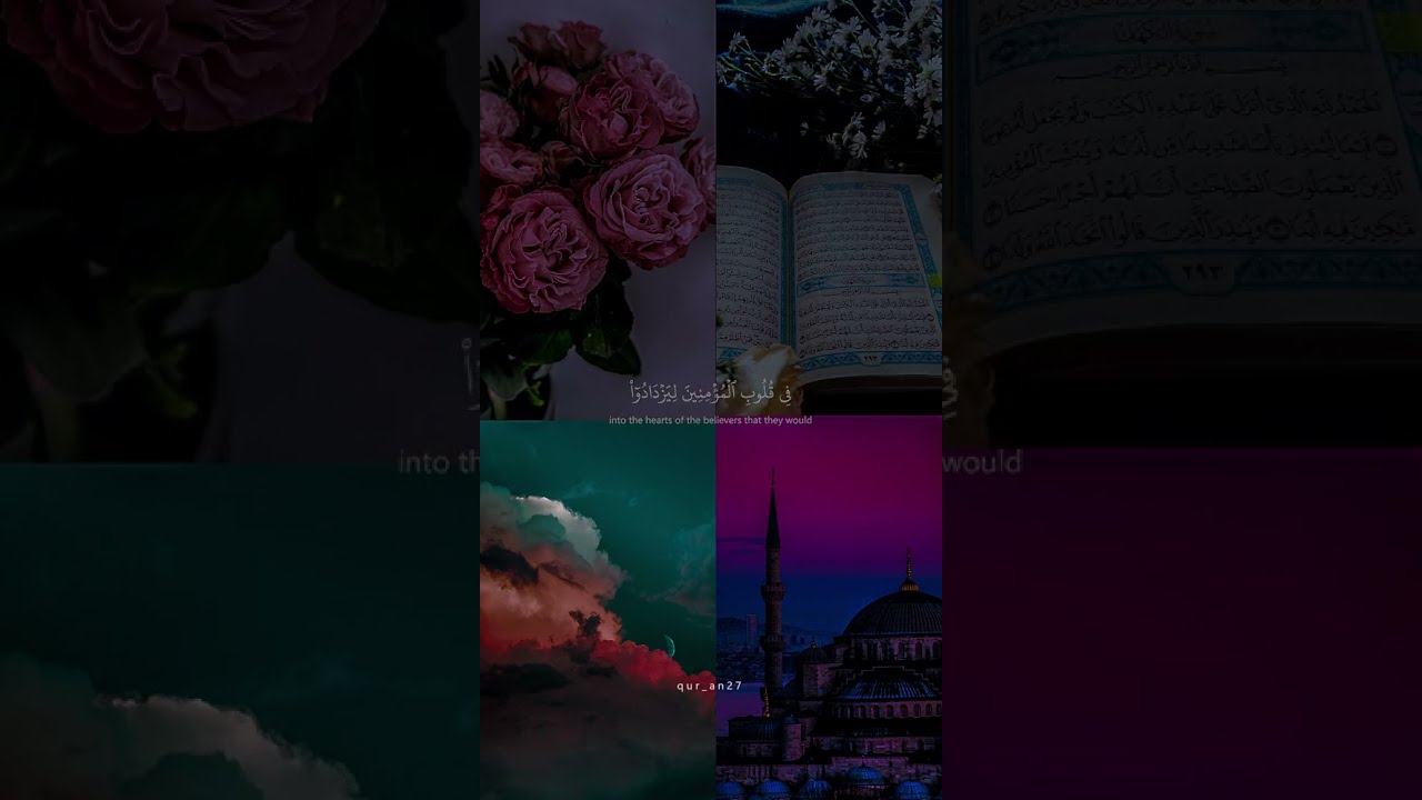 تلاوة هادئة تريح القلب والنفس😍#تلاوة#quran#تلاوة_خاشعة #تلاوة_مميزة #تلاوة_هادئة#أسماء_الله_الحسنى