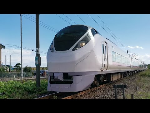 特急ひたち3号 単線区間を約100km/hで軽快に通過 浜吉田～亘理間 10/24