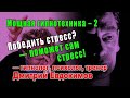 Парадоксальная гипнотехника: Победить стресс — поможет стресс! Гипнолог, психолог Дмитрий Евдокимов