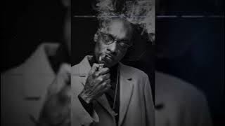 Snoop Dogg & The Doors- Riders On The Storm [Explicit]