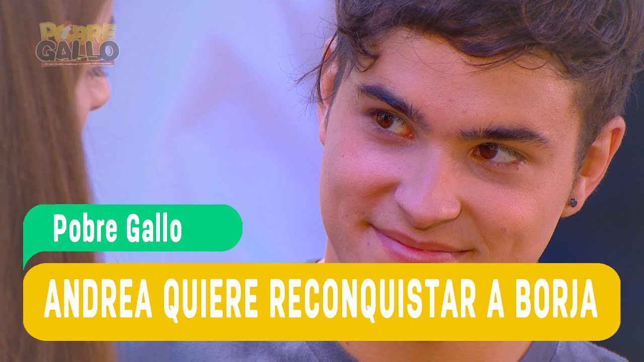 Pobre Gallo - Andrea y Borja Capítulo 65