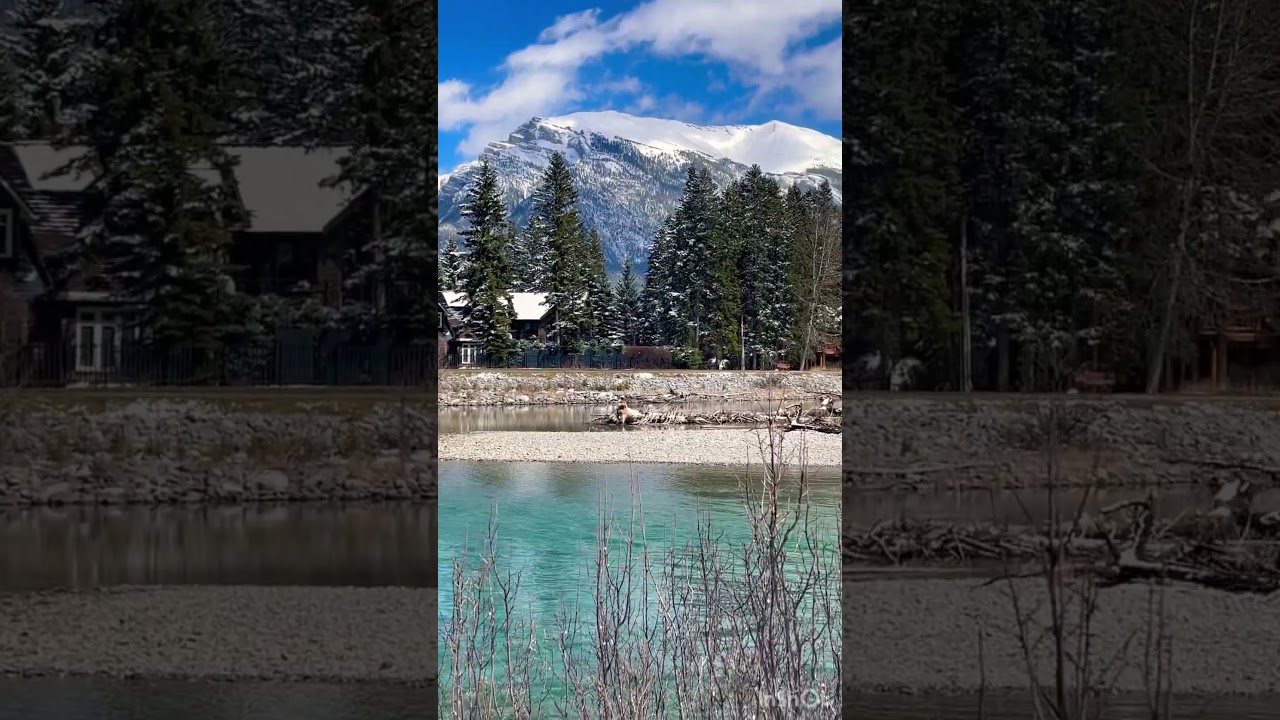 Канада. Наедине с природой . г. Канмор, Альберта