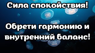 Аффирмации для гармонии и умиротворения 🌌 Снятие тревоги и стресса