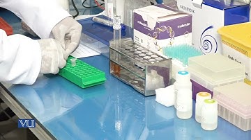 Isolation of Plasmid DNA from Bacteria | Methods in Molecular Biology (Practical) | MB504P_Topic013