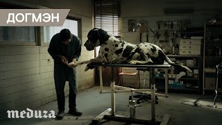 «Догмэн». Трейлер «Догмэн». Трейлер