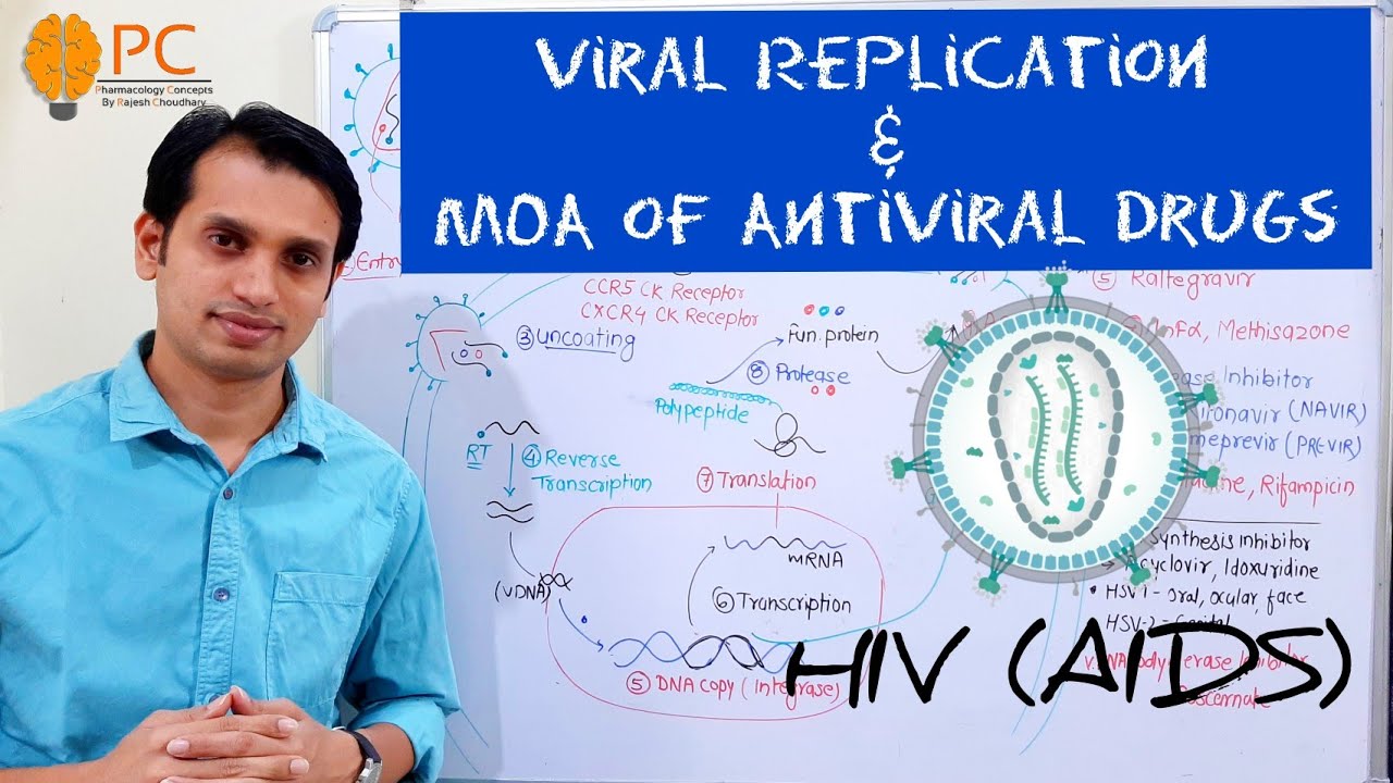 HIV or Retro Viral Replication and Mechanism of action of Antiviral Drugs | HIV Lifecycle