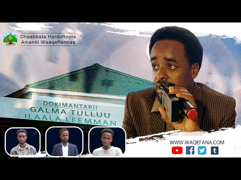 Dookimantarii Ijaarsa Galma Tulluu Ilaala Leemman Irratti Hojjetame Ofta Uu Walta Uu