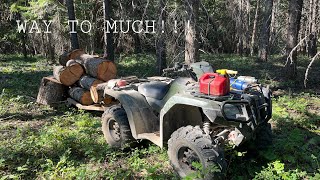 EXTREME LOGGING WITH HONDA RUBICON!!! (DCT 520)