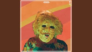 Video thumbnail of "Ty Segall - Bees"