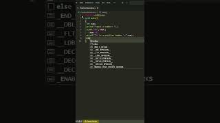 POSITIVE AND NEGATIVE NUMBERS IN C Guide
