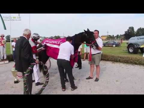 28. slovenski kasaški derbi