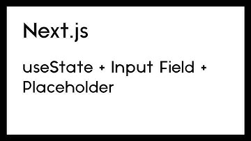 useState Input Field With Placeholder (Next.js) - Example 2