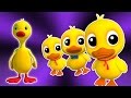 Cinq petits canards | Cartoon pour les enfants | Compilation | Populaire Comptine