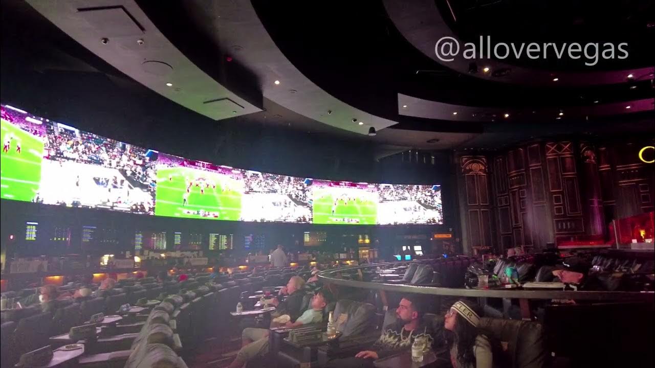Caesar s palace race and sports book youtube