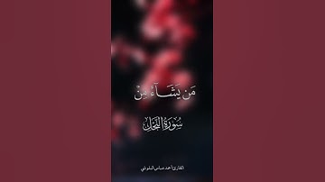 تلاوة هادئة للقارئ أحمد عباس البلوشي