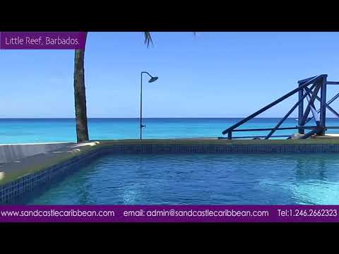 Little Reef, Beach