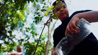 Indigenous Tree Guardians Reforest Taiwan's Southern Mountains | TaiwanPlus News