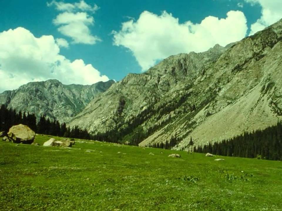 Тянь Шань Солнечная Поляна
