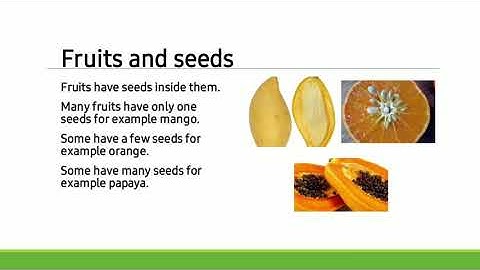 Metropolitan School Class 4 Week 3 Science Lesson