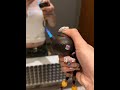 把把胡送给我的好朋友 #万物皆可盘 #小物件 #打火机 @海尔官方旗舰店 #你好种地少年