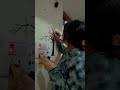wall painting 🖌️🎨#WallArt #WallPainting #ArtOnWalls#WallDesign#ArtisticWalls#bharti_art0
