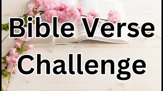Bible Verse Challenge Gameplay screenshot 3