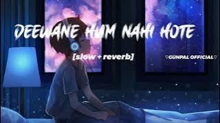Deewane Hum Nahi Hote New lofi song ( Slowed Reverb)2023 Editing By / hg__editor__021__