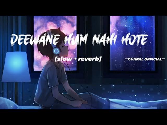 Deewane Hum Nahi Hote New lofi song ( Slowed+Reverb)2023 Editing By / hg__editor__021__