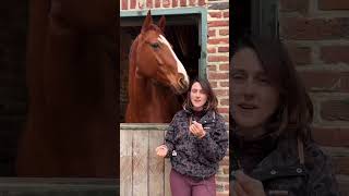 ON ME DONNE UNE JUMENT DE DRESSAGE