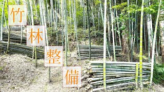 竹林整備（斜面）の様子