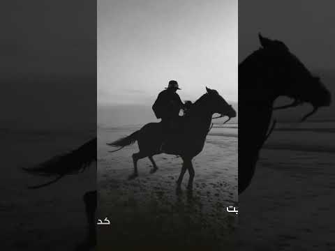 اخ شكثر ميلات بيا الوكت مال لكن ولا طخيت راسي للانذال اغاني ترند تيكتوك اغاني حزينة