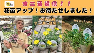 Oni Channel is now live! - YouTube