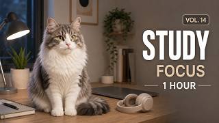 Study Music for Work and Focus | 1 Hour Soft Acoustic Cafe | Nicky Vol.14 screenshot 2