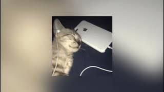 Download lagu make you mine (speed up)