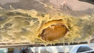 MAJOR Fiberglass Repair 2024 Yamaha Jet Blaster 