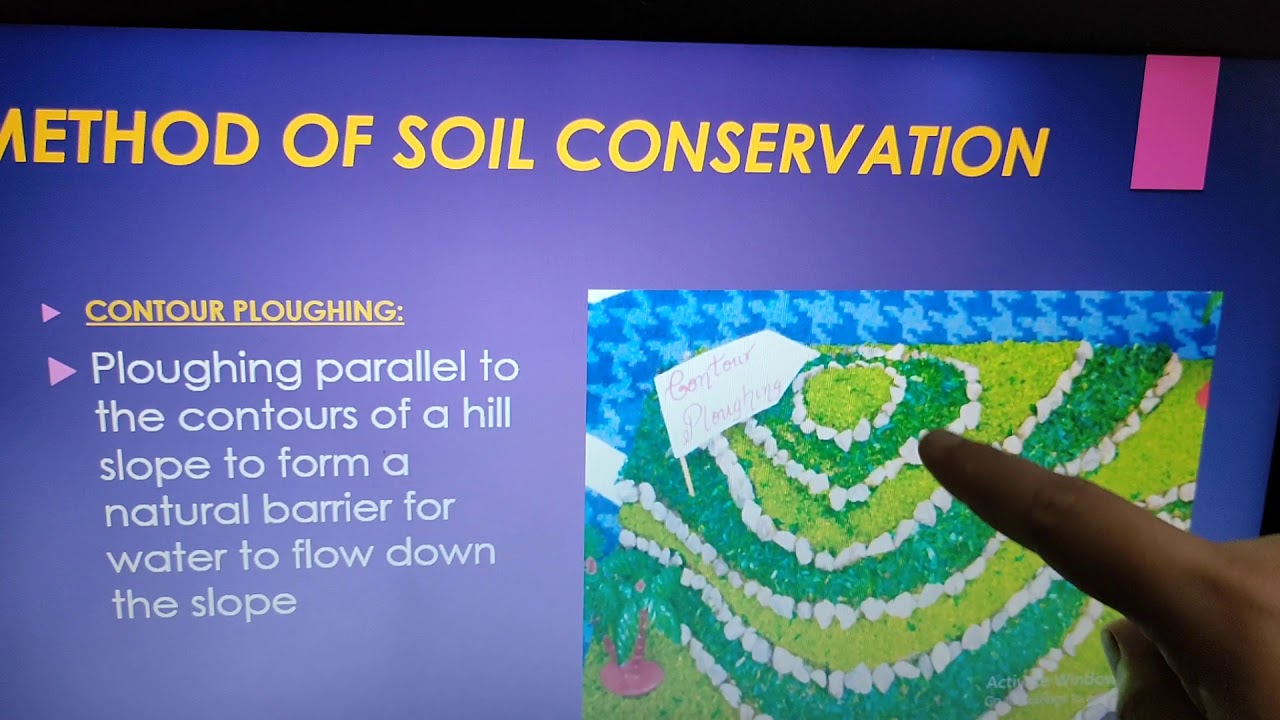 Diverse Natural Resources of the World