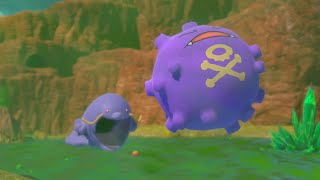 Koffing Stall - New Pokémon Snap