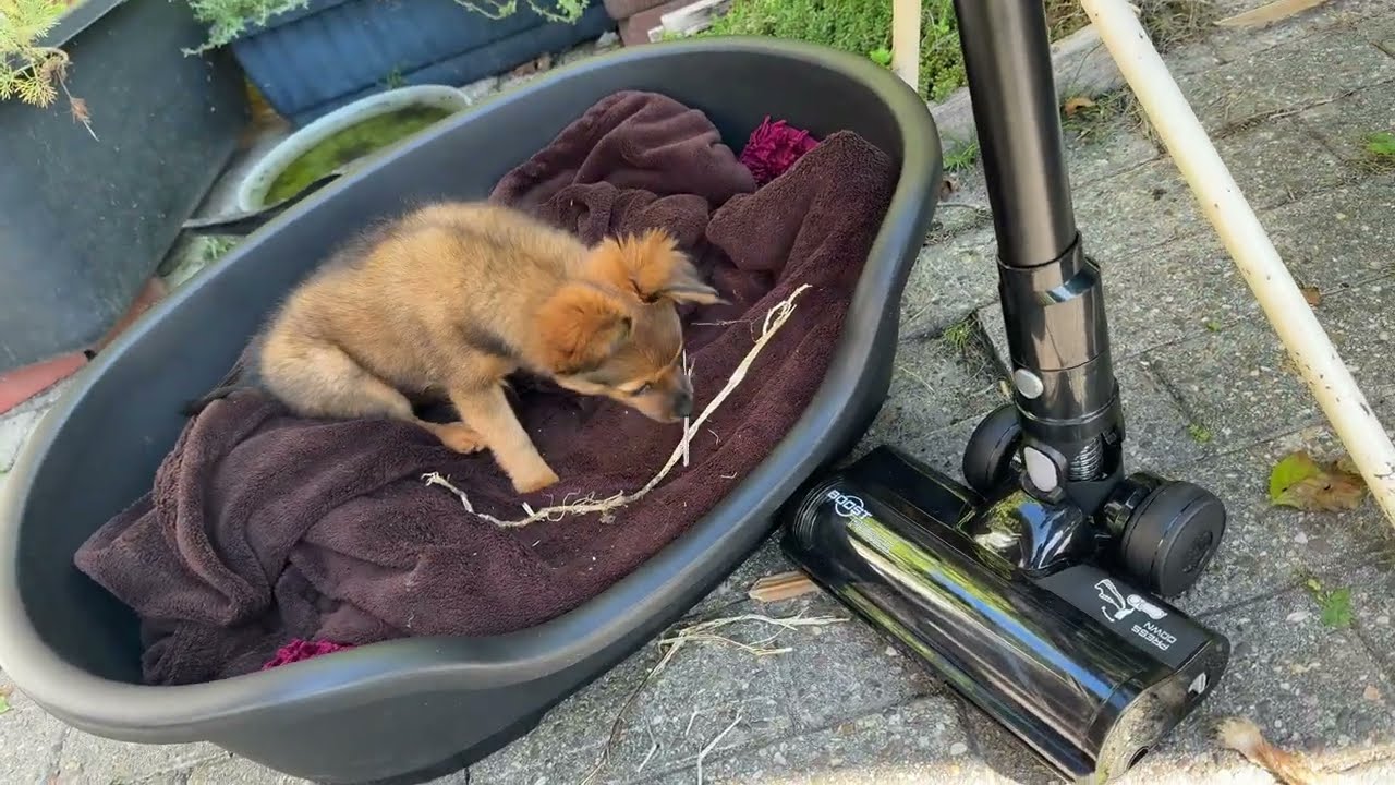 Cordless Vacuum Cleaner H28 8in1 Vacuum Cleaner for Home with LED Display unboxing and instructions 