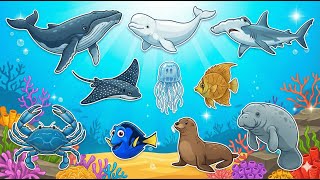 100 Animal Sounds For Kids  Dolphin Seal Sea Lion Penguin Fish Compilation