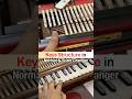 Keys Structure in Normal and Scale Changer Harmonium #learnharmonium #harmoniumtutorial #harmonium