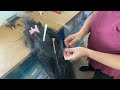 Hair extensions for tails and manes on horses. I tip method.