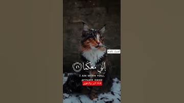 صوت يسقي قلبك تلاوة .... بصوت القارئ عثمان يوسف قال لا تخافا 🤍🍃 تلاوة # قرآن كريم #قناة الصحابة #