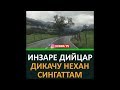 ИНЗАРЕ ДИЙЦАР ДИКАЧУ НЕХАН СИНГАТТАМ ХЬЕХАМ