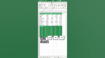 Excel教学 - 要是老板把鼠标垫收了，快捷键就记不住了 苍蓝誓约全民起舞 excel #办公技巧 #excel技巧 #excel #办公技巧 #excel技巧 #powerpoint #wps