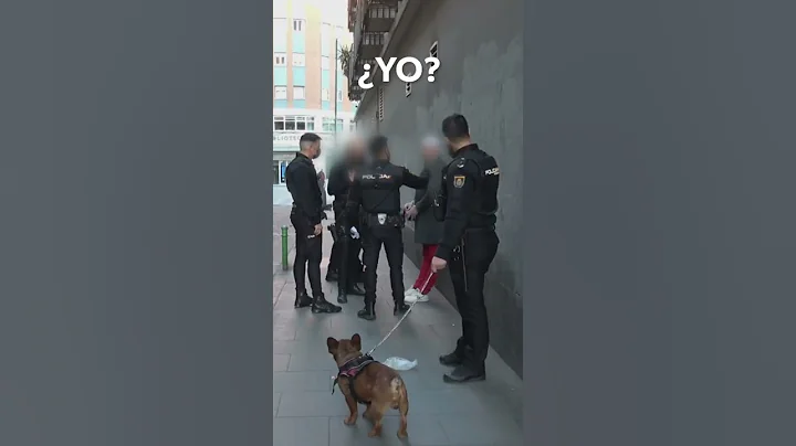 Bajo los efectos de las drogas y con un perro del que no puede hacerse cargo | 091: Alerta policia