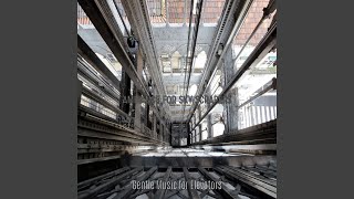 Sublime Long Elevator Rides