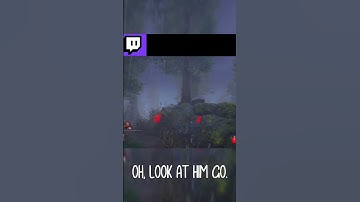 I Versed My First Cheater In 2v8 #shorts  #dbd #dbdshort #deadbydaylight